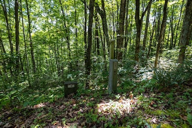 Lot 4 W Cliff Rd, Cullowhee, NC 28723 - photo 4