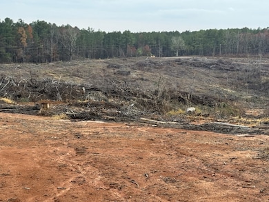 TBD Cr 442, Paris, MS 38949 - photo 3