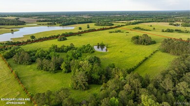 140 Flowers Rd, Fitzpatrick, AL 36029 - photo 5