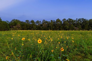 00 County Road 284, Liberty Hill, TX 78642 - photo 5
