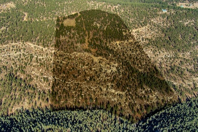 14440 County Rd 28 8 unit 10, Weston, CO 81091 - photo 2