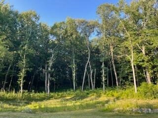 Lot 41 Lucille Ln, Merrimac, WI 53561 - photo 7