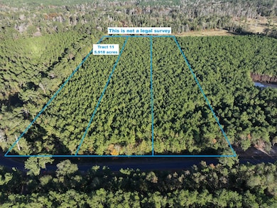 Smyrna aerial 1 with border tract 11