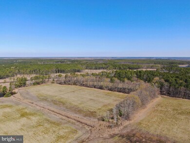 2132 Liners Rd, Church Creek, MD 21622 - photo 2