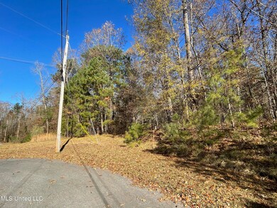 View From Road