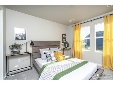 613 85th Ave Ct, Greeley, CO 80634 - photo 5