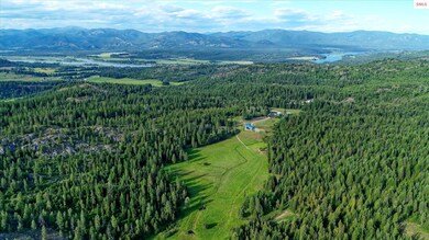 Borders 500+ Acres of Timber Company Land