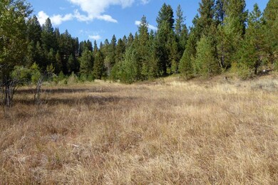 Looking Back at Property From Southern Edge