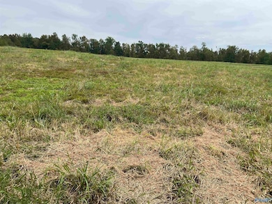 21512 Holland Rd, Athens, AL 35614 - photo 3