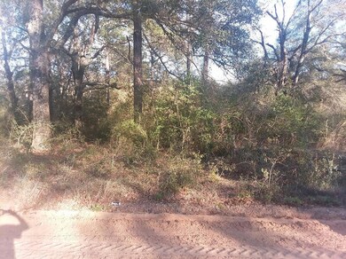Bethany Drive Photo 3