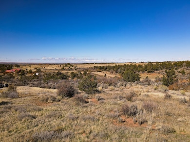 17467 Road 27 7, Dolores, CO 81323 - photo 2