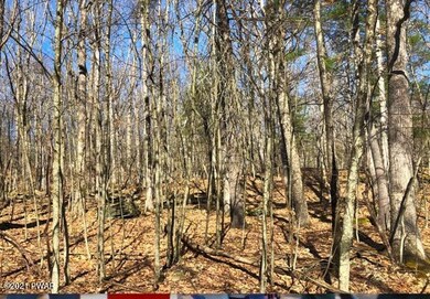 813-814 Tink Wig Dr, Lackawaxen Township, PA 18428 - photo 3