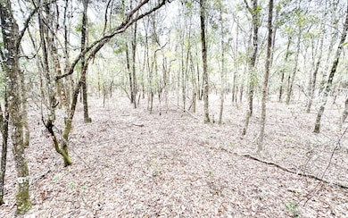 11 NE Tansy Road Lot 30, Mayo, FL 32066 - photo 2