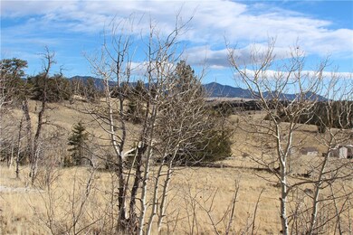 176 Musket Ln, Como, CO 80432 - photo 2