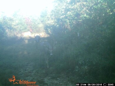 2969 Piney Grove Rd, Somerset, KY 42501 - photo 2