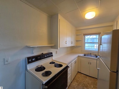 517 Bennett Ave, Mount Pleasant, MI 48858 - photo 4