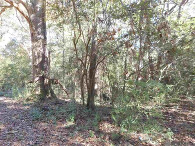 7430-D Lane Rd, Ethel, LA 70730 - photo 4