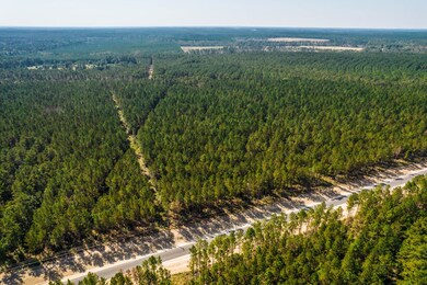 Bordering Sam Houston National Forest, this commun
