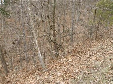 0 Binkley Ln unit 1100485, Bloomfield, KY 40008 - photo 4