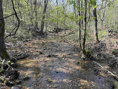 0000 Flannery Ln, Calico Rock, AR 72519 - photo 7