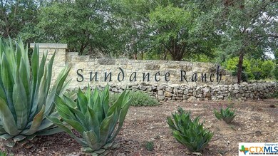 25118 Buffalo Clover, Boerne, TX 78006 - photo 3