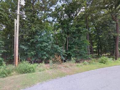 0 Lyndhurst Dr, Bella Vista, AR 72714 - photo 6