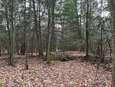 0 Miola Rd, Clarion, PA 16214 - photo 4