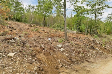 0 Long Stack Ln, Wolfeboro, NH 03894 - photo 4