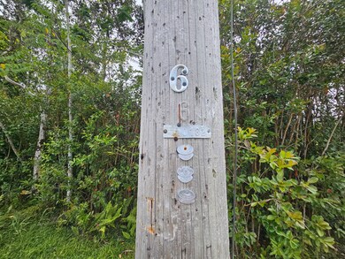 power pole indicates roughly the right side boundary