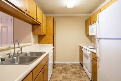 4106 Private Road 3057, Oxford, MS 38655 - photo 6