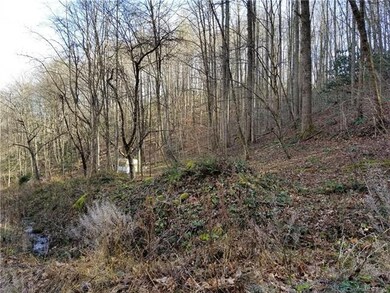 000 Roaring Fork Rd, Burnsville, NC 28714 - photo 2