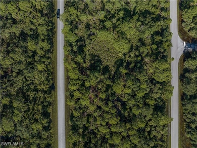 14142 Dunlap Ave, Port Charlotte, FL 33953 - photo 3