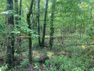 000 Ferguson Rd, Heber Springs, AR 72543 - photo 6