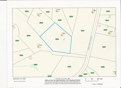 1324 L R Schronce Ln, Iron Station, NC 28080 - photo 3