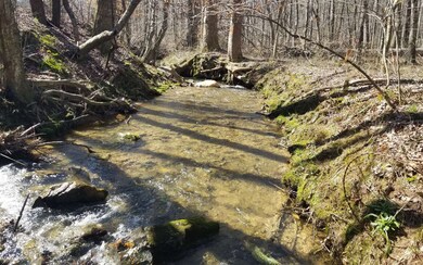 0 Dales Spur unit 295493, Ellijay, GA 30536 - photo 2