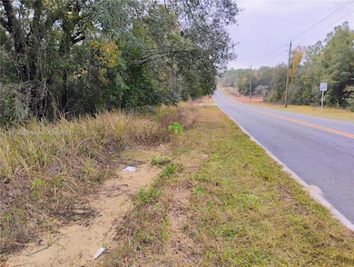 0 Keuka unit A11871453, Palatka, FL 32148 - photo 5