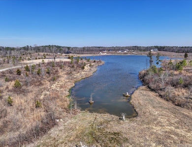 000 Snorting Buffalo Trail, Hot Springs, AR 71901 - photo 3