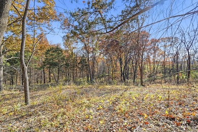 9600 S Smith Hatchery Rd, Columbia, MO 65203 - photo 4