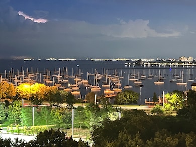 400 E Randolph St unit 1119-20, Chicago, IL 60601 - photo 6