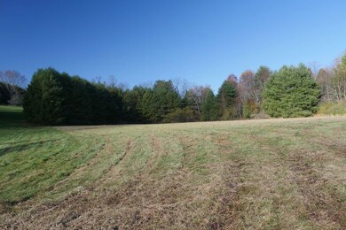 0 Harmon St unit LotWP001, Hillsville, VA 24343 - photo 6