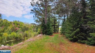 80064 Osprey Pass, Tower, MN 55790 - photo 7