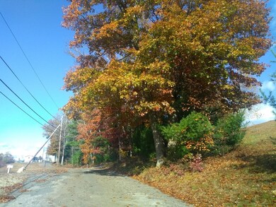 46 Madden Rd unit 53, West Brookfield, MA 01585 - photo 3