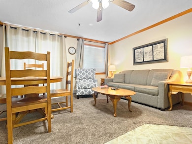 1701270584628ml238_cdunavent@yahoo.com00