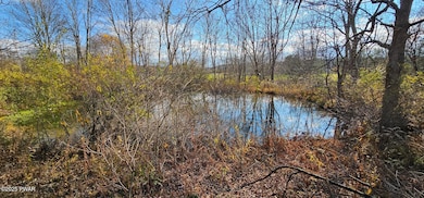 77 Delaware Dr, Damascus Township, PA 18415 - photo 2