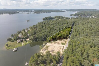 Lot 4 Constellation Ave, Alpine, AL 35014 - photo 6
