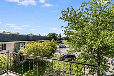 3335 Kirchoff Rd unit 4I, Rolling Meadows, IL 60008 - photo 7