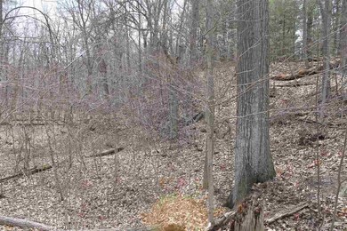 0 Havana V L Rd unit 50070534, Oakley, MI 48649 - photo 2