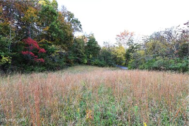 Haws Rd