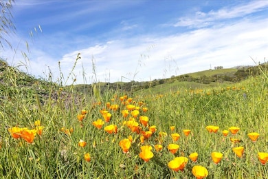 0 Mt Hamilton unit ML81974977, San Jose, CA 95140 - photo 5