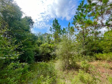 114 Tranquility Dr, Crestview, FL 32536 - photo 3